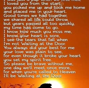 Meet your Posher, Phyllis